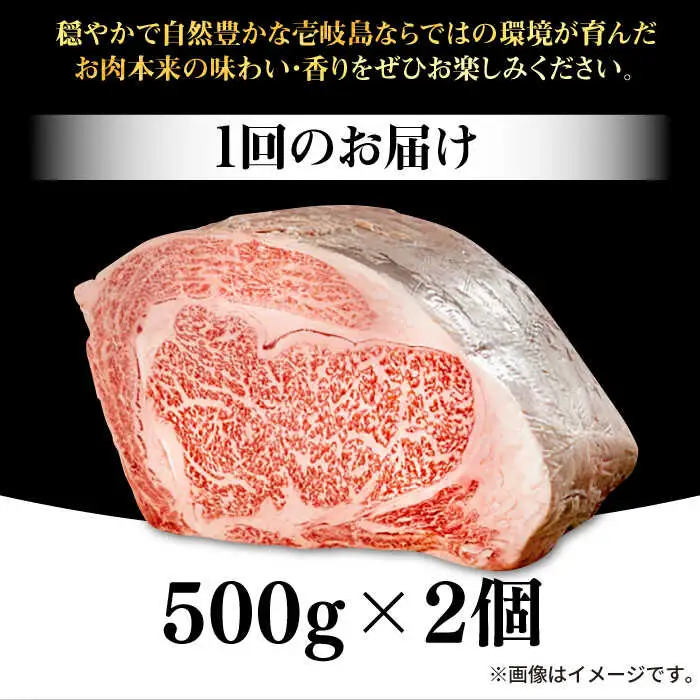 【全12回定期便】 壱岐牛 ロースブロック 1kg（500g×2枚）《壱岐市》【株式会社イチヤマ】 肉 牛肉 ブロック ステーキ BBQ [JFE050] 696000 696000円