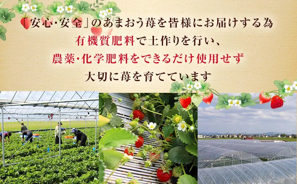 【特別栽培】うるう農園 冷凍あまおう 2kg あまおう イチゴ いちご 苺 フルーツ 果物