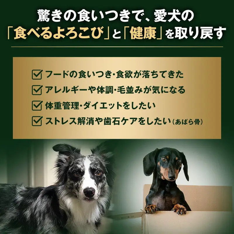  【ペット用ジビエ】無添加 エゾシカ 生ゲンコツ 2本 犬用 北海道産 鹿肉【deer food】ハンター直送 [ 健康 体 毎日 習慣 大事 安心 安全  骨 ] 