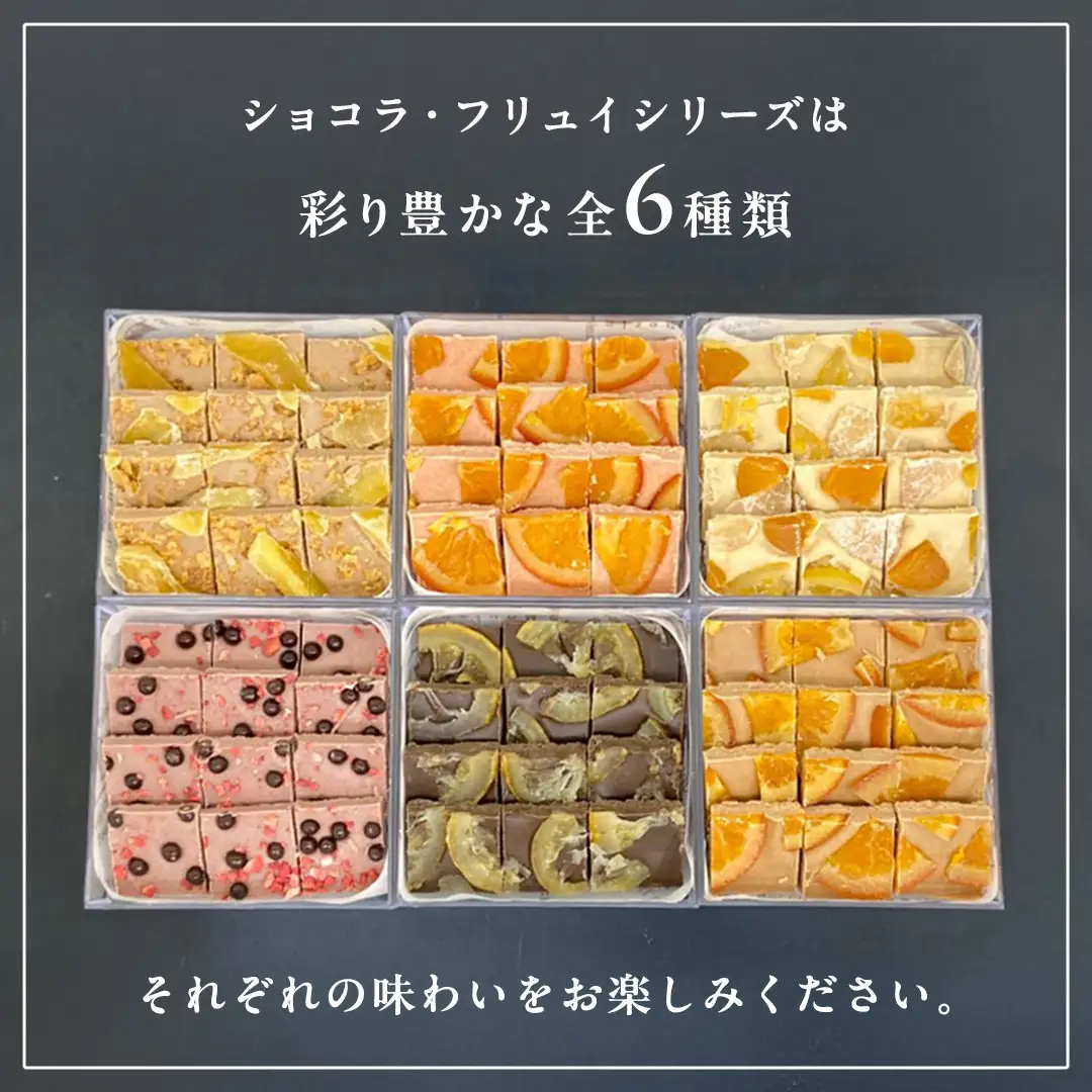 【お歳暮熨斗付】ショコラフリュイ トロピカル チョコレート スイーツ ドライフルーツ 手土産 贈答