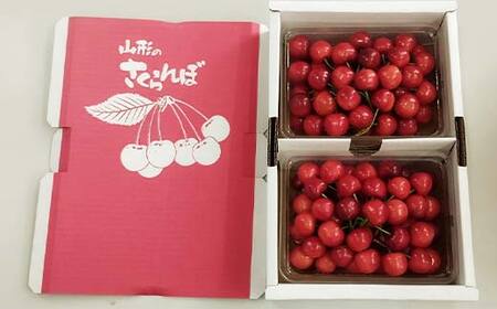《2027年先行予約》山形県中山町産さくらんぼ《佐藤錦特秀品》 700g Lサイズ以上 山形県産 サクランボ フルーツ 果物 F4A-0106