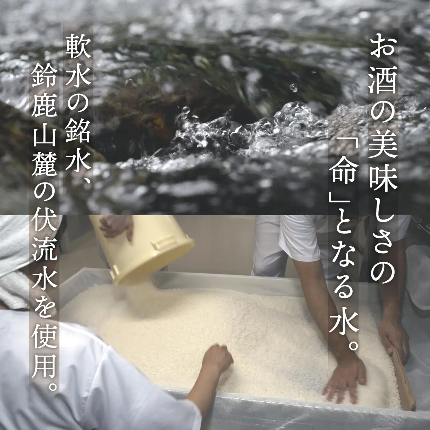 【数量限定】宮﨑本店「宮の雪 大吟醸 720ml」
