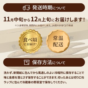 【先行予約 2026年収穫分】長いも（ネバリスター）3kg１箱 / 長いも