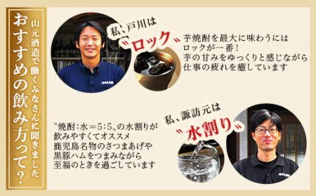 AS-2040 芋焼酎 蔵の神スリムパック 900ml×3本 25度 山元酒造