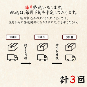 【定期便】全3回 毎月お届け 夢紀行のオリジナルブレンドコーヒー コーヒー粉100g 自家焙煎
