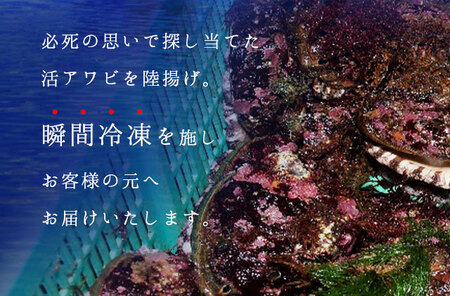 礼文島産 凍結島アワビ 120g以上 5個 魚貝類 魚介類 鮑利尻昆布 良質 瞬間冷凍 磯の香り コリコリ 獲れたて 甘い 贈り物 