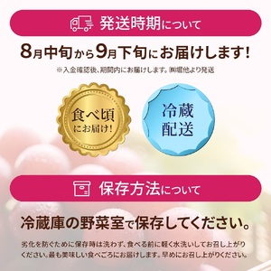 ルビーロマン 500g × 2房（2箱）【2027年収穫分】| ぶどう ぶどう 葡萄
