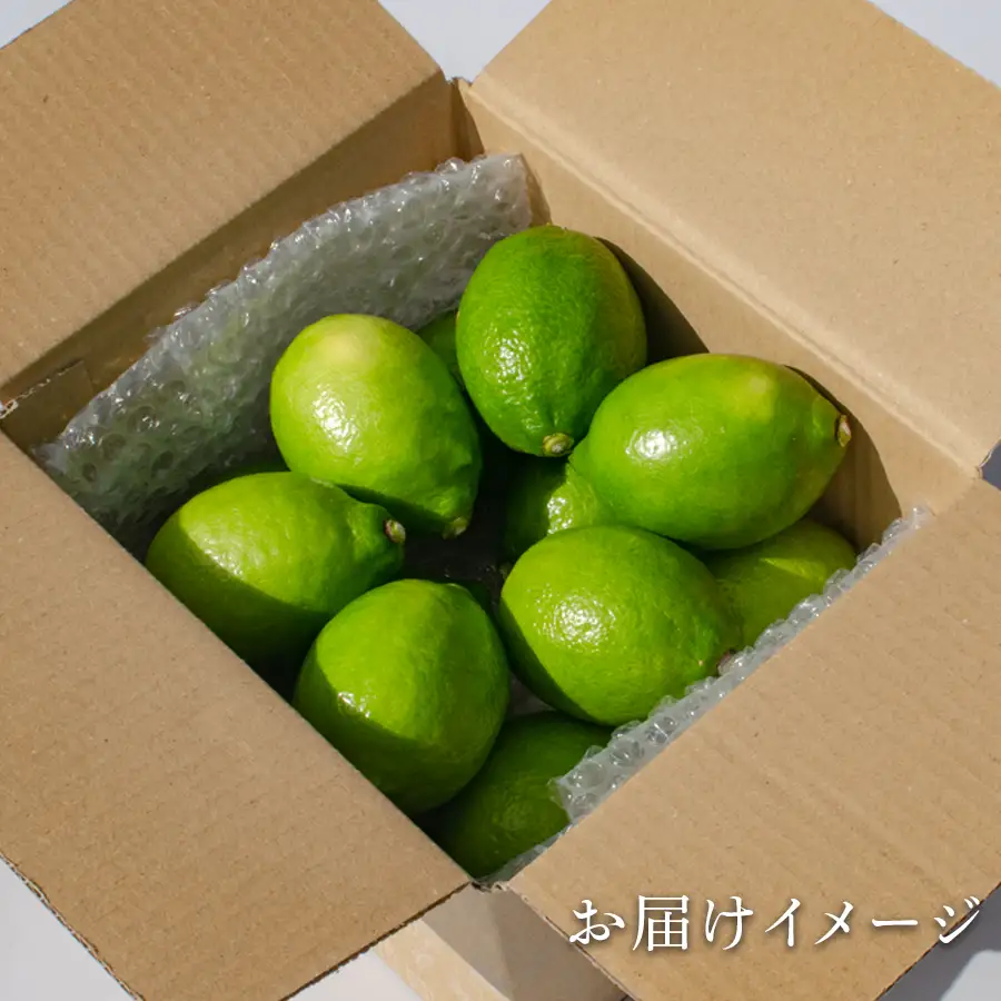 グリーンレモン 1.2kg ハウス栽培 国産 レモン 檸檬 れもん 柑橘 フルーツ 果物 香り 爽やか 果汁 レモンサワー レモネード レモン水 料理 ドリンク お菓子作り アレンユーレカ 高知県大月町