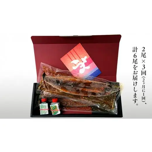 【 全3回隔月 定期便 】《 麻布しき 》 国産 有頭 鰻蒲焼 × 2尾 (計 6尾 )