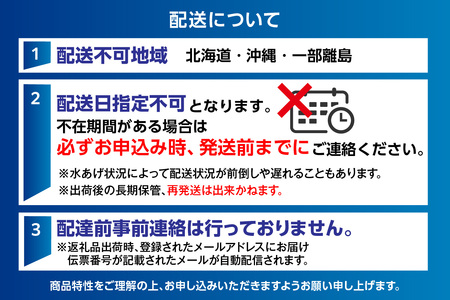【先行予約】 セコガニ 6～10匹 約1.2kg  【令和8年11月下旬以降発送予定】カニ 33-23