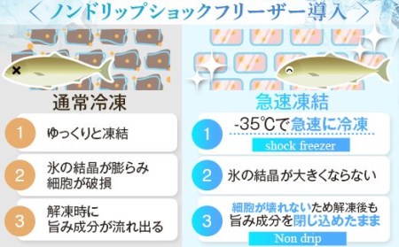 天然きびなご漁師漬け AS-377