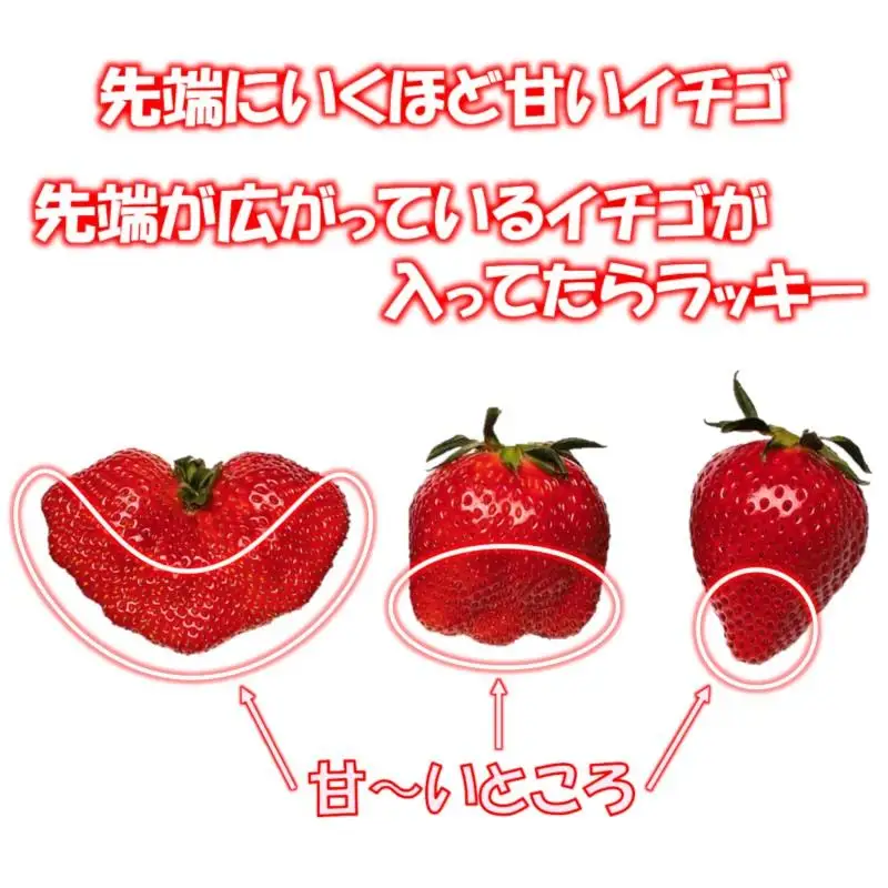 【先行予約】苺大野屋 大粒厳選いちご やよいひめ 450g×２ 合計900g 宮崎県西都市＜28-3a＞