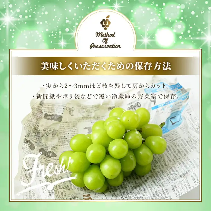 シャインマスカット 加温栽培(約2kg)シャインマスカット ぶどう 葡萄 フルーツ 果物 くだもの 果実＜先行予約受付中！2026年8月上旬から順次発送予定＞＜北海道、沖縄、離島配送不可＞【106300600】【大分県農業協同組合　北部エリア】