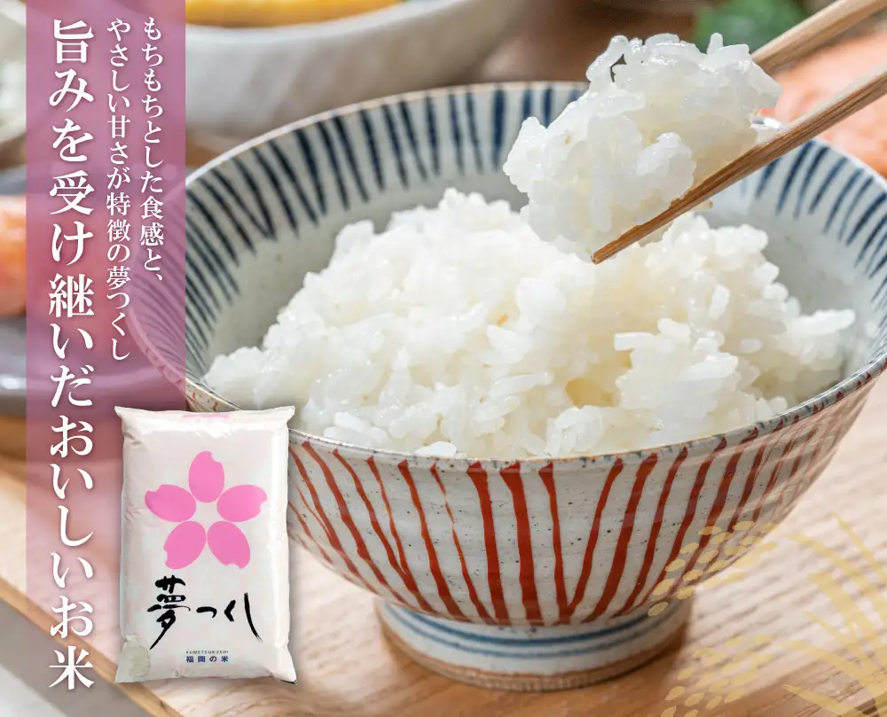 Z17-03 研ぐお米 福岡ブランド米３品種セット(各2kg) ヒノヒカリ 夢つくし 元気つくし