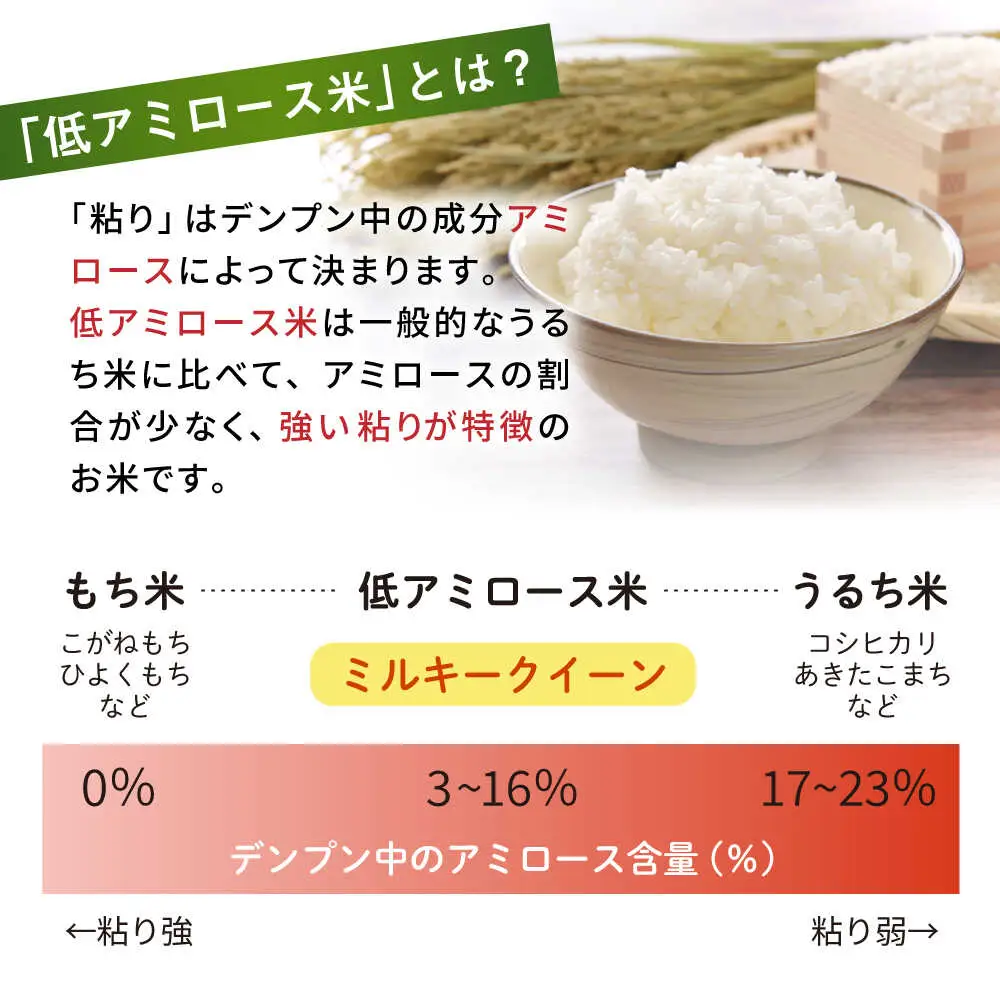 【全9回定期便】ミルキークイーン 10kg （ 5kg × 2袋 ） 糸島市 / 玄米・精米専門店 新飼宗一郎商店 米 白米 [ADE015]
