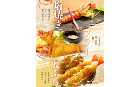 紀州和歌山産天然足赤えび540g（270g×2パック）化粧箱入 ※2026年12月上旬～2027年2月上旬頃順次発送予定（お届け日指定不可）（お届け日指定不可）／海老 エビ えび クマエビ 足赤 天然 おかず【uot772C】