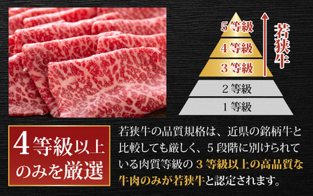 【肉の定期便×3回コース】肉好き大集合！若狭牛 食べ比べ 定期便！【福井のブランド牛肉】【4等級以上】