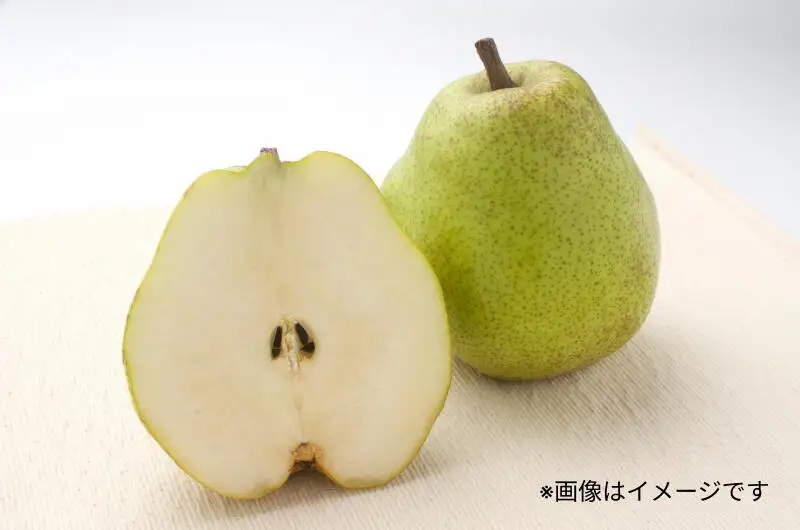 【5回定期便】東谷農園 こだわりの詰まった季節の フルーツ 定期便_Y037-0346