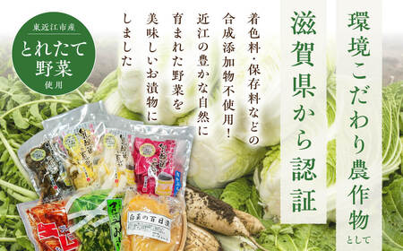 近江農産の東近江漬物詰め合わせ 1.1kg 農事組合法人近江農産組合 滋賀県 東近江市 O-I04 漬物 野菜 安心 安全 無添加 保存料不使用 ご飯のお供 おつまみ