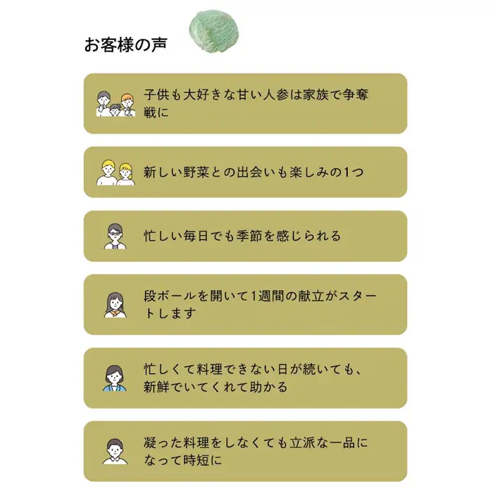 ご家庭向けお野菜セット～旬のおまかせBOX～2回お届け
