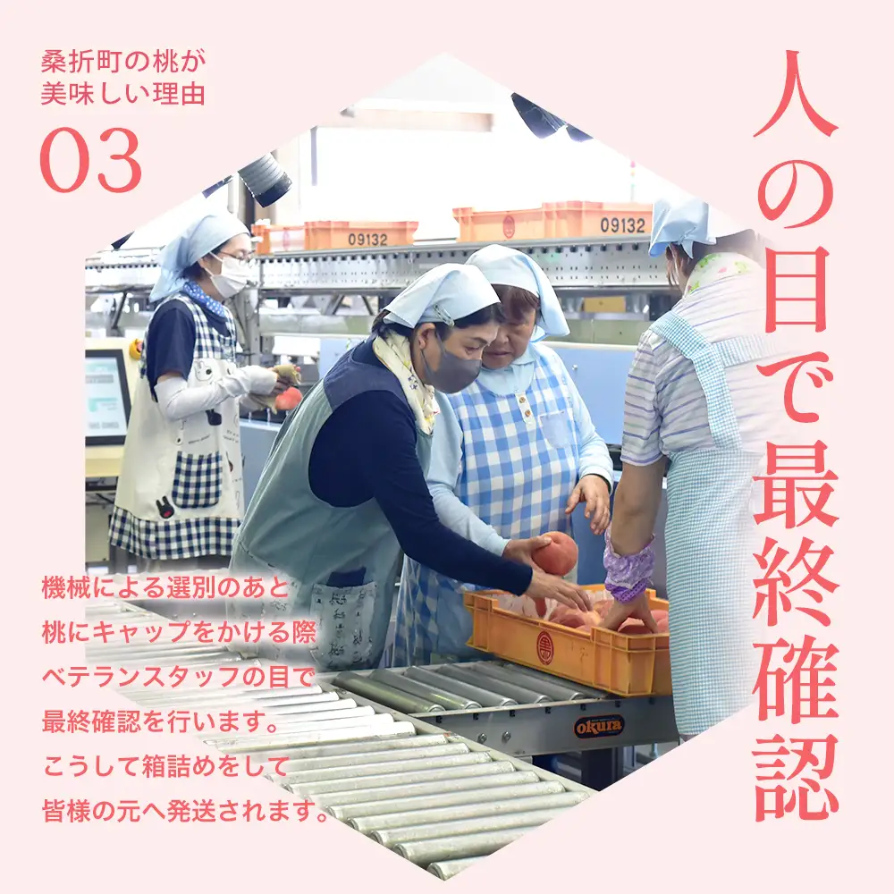 もも【だてか白桃・2026年産】特秀3kg（8～11玉）桑折町振興公社　桃　献上桃の郷　【07301-0180】