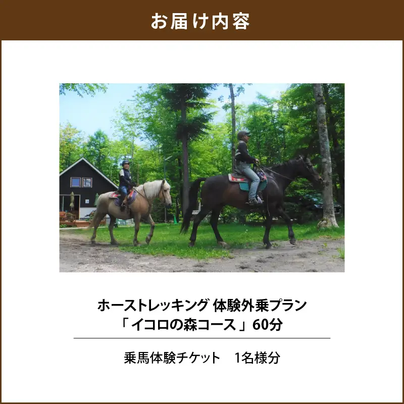 ホーストレッキング 体験外乗プラン 60分 「イコロの森コース」　T014-001 体験 チケット