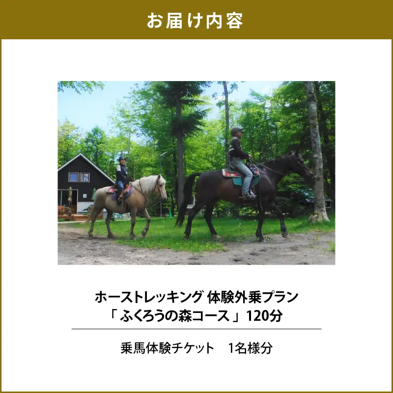 ホーストレッキング 体験外乗プラン 120分 「ふくろうの森コース」　T014-003 体験 チケット