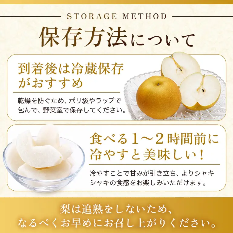 【ふるさと納税】【先行予約】幸水梨  5kg 10玉～14玉 なし【2026年8月上旬ごろ出荷開始予定】