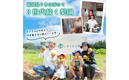 【ふるさと納税】【先行予約】しゅうたの畑 あふれる果汁 幸水梨 6玉から7玉 【2026年7月下旬〜8月上旬より順次発送予定】 梨 なし ナシ 幸水 こうすい フルーツ 果実 果物 常温 送料無料 福岡県 うきは市