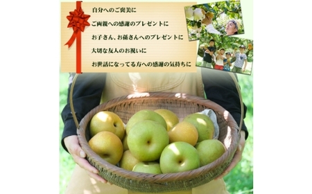 【ふるさと納税】【先行予約】しゅうたの畑 あまーい♪ 豊水梨 6玉から7玉 【2026年8月下旬より順次発送予定】 梨 なし ナシ 豊水 ほうすい フルーツ 果実 果物 常温 送料無料 福岡県 うきは市