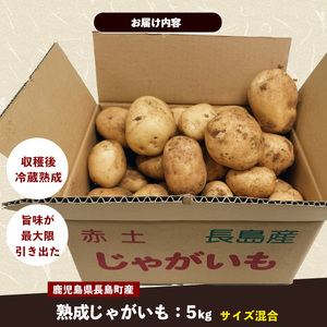 和喜雄さんといつみさんの熟成じゃがいも5kg【飯尾和喜雄農園】iio-7085