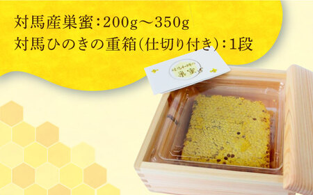 対馬はちみつ 採れたて 巣蜜 つしま ひのき 重箱 ギフト蜂蜜 ハチミツ 贈答  [WAM014]