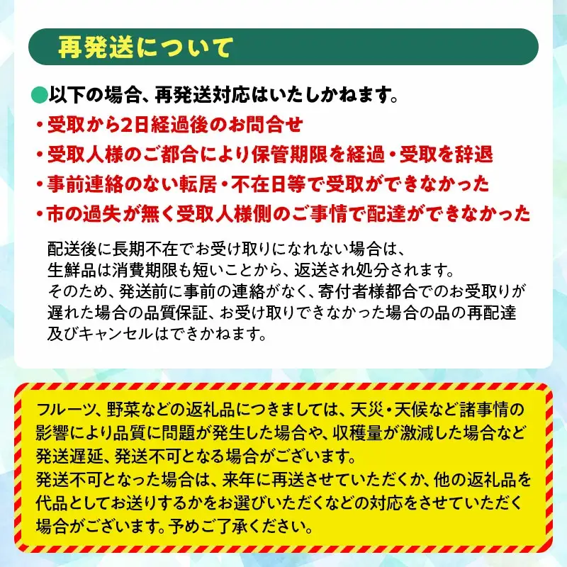 【令和8年産先行予約】 シャインマスカット 約2kg (3～4房) 山形県鶴岡市　伊藤農園