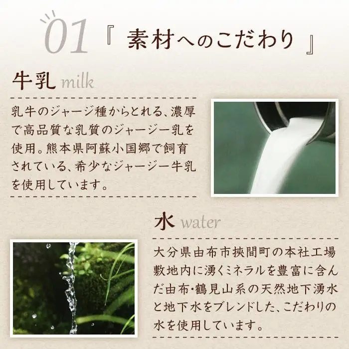 【お菓子の菊家】ゆふいん創作菓子 ぷりんどら 9個入【 どらやき】