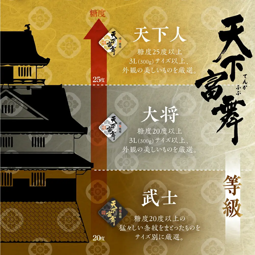 [先行予約] 令和8年産 岐阜の高級ブランド柿「天下富舞(てんかふぶ)」武士(もののふ) 5～6玉入り 10月下旬～11月中旬に配送 [0957]