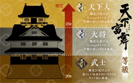 [先行予約]令和8年産 高級 柿「天下富舞(てんかふぶ)」 大将 3玉 高級[0958] 柿