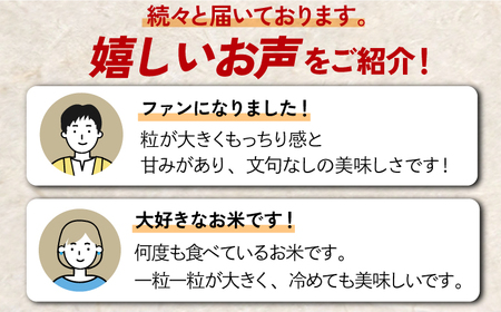 〈受付一時停止中〉【数量限定】【2回定期便】【令和5年産】さがびより 計20kg（5kg×2袋×2回） 吉野ヶ里町/増田米穀 [FBM032]