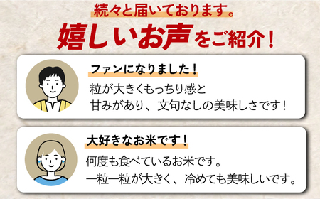 〈受付一時停止中〉【数量限定】【3回定期便】【令和5年産】さがびより 計15kg（5kg×3回）吉野ヶ里町/増田米穀 [FBM036]