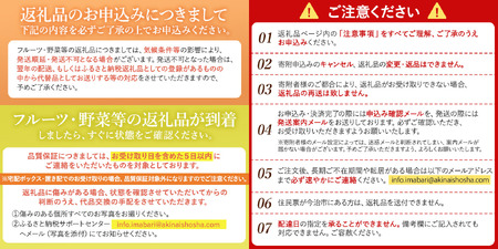 【先行予約】温州みかん4kg 愛媛県今治市