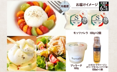 【ふるさと納税】6ヶ月定期便 フレッシュチーズ 2種 オリーブオイル セット モッツァレラ 100g 2個 ブッラータ 160g 1個 オリーブオイル 100ml チーズ おつまみ 送料無料 神奈川県 茅ヶ崎市