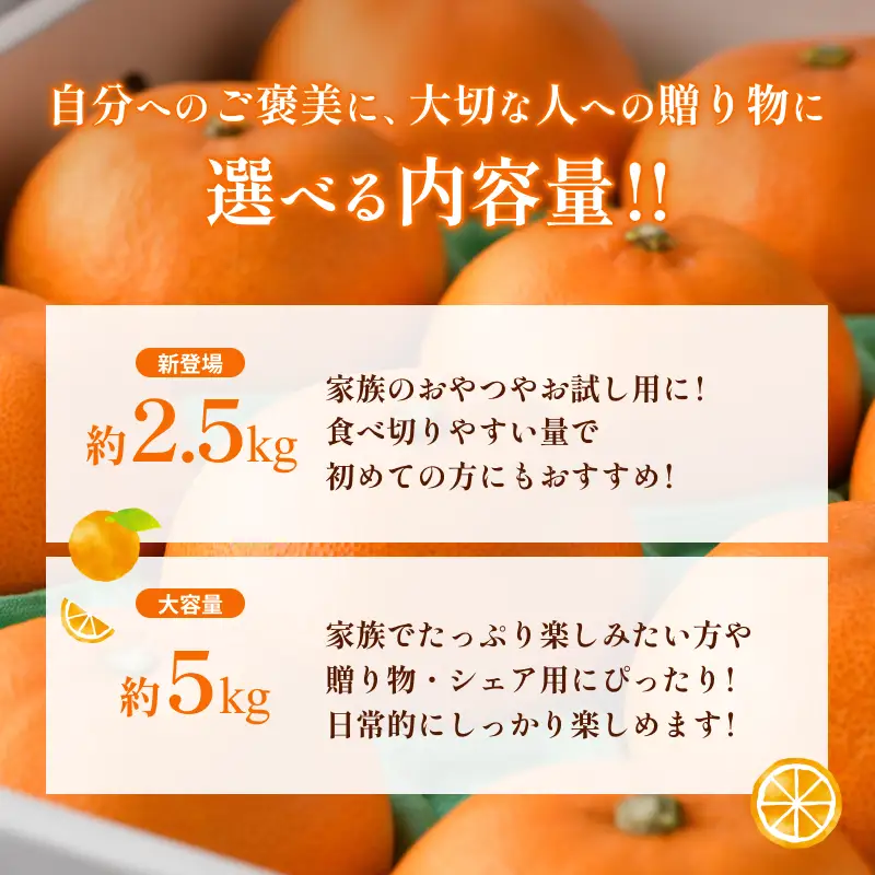 【先行予約】せとか（家庭用）レギュラー箱 約5kg