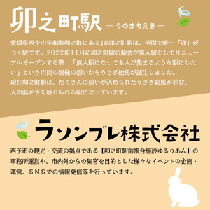 うさぎ絵馬5個セット URB0008