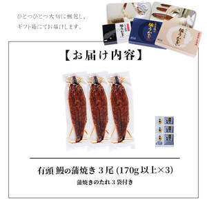 【ギフト対応】楠田の極うなぎ　蒲焼き170ｇ以上×3尾(計510ｇ以上） うなぎ 鰻 ウナギ 国産 鹿児島県産 九州産 蒲焼き 冷凍 うな重 ひつまぶし b2-018