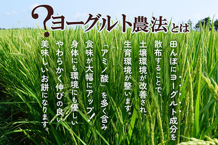 【R8.11月～3月まで順次発送】庄内町産 紅白もち 270g×3袋『特別栽培米 でわのもち』使用 先行受付 柔らかく よく伸びる 梅木もち屋 個包装 小さめ ヨーグルト農法 杵つき 丸もち 丸餅 餅 もち 紅白 お祝い【入金期限：2027年2月20日】