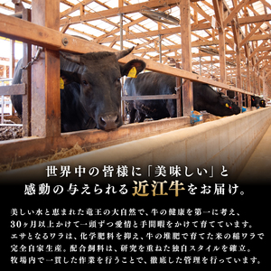 近江牛 サーロイン ステーキ 500g ( 250g×2 ) 冷凍  