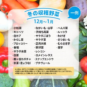野菜 旬野菜 新鮮  詰め合わせ 竜王産 滋賀県 竜王町 産地直送 送料無料