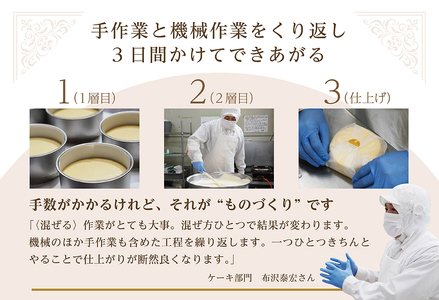 【毎月定期便】 二層のチーズケーキスイート・フロマージュ　12cm×1台×10ヵ月定期便 be051-0967-100-10　（ ケーキ チーズケーキ フロマージュ マスカルポーネ スィーツ 北海道 人気 ふるさと納税 ）