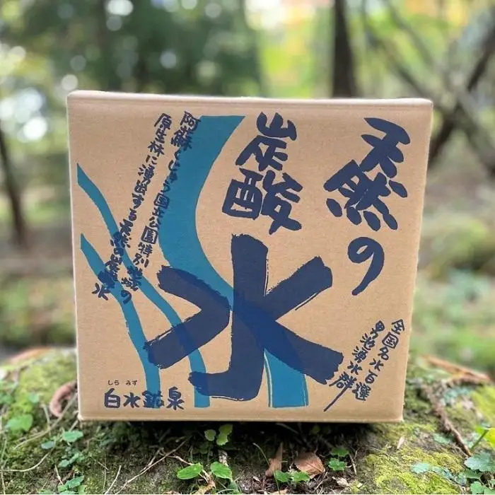 ＜9ヶ月連続お届け 定期便＞天然炭酸水　白水鉱泉　18Ｌ×1箱