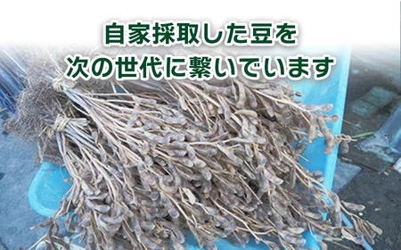 【令和8年産先行予約】山形セレクション認定　だだちゃ豆 「早生白山」 1.2kg（600g×2袋）　山形県鶴岡市　白山ちゃ茶農園　K-831　| だだちゃ豆 枝豆 えだまめ 豆 1.2キロ 夏の味覚 おつまみ 旬の野菜 期間限定 名産品 ビールのお供 手土産 山形県 庄内 東北 返礼品