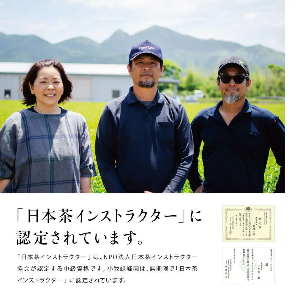 【日本茶AWARD受賞】鹿児島緑茶と紅茶のセット（計250g）  鹿児島県産 かごしま お茶 日本茶 緑茶 紅茶 茶葉 南さつま市 小牧緑峰園